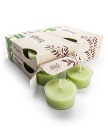 Tahoe Pine Tealight Candles 24-Pack